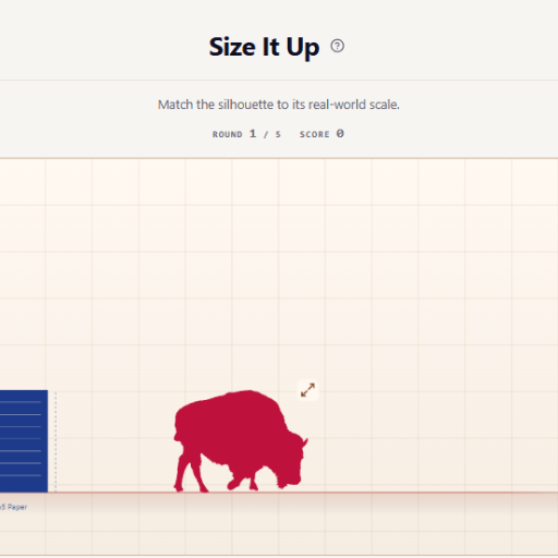 Size It Up game
